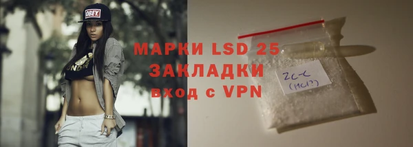 ГАЛЛЮЦИНОГЕННЫЕ ГРИБЫ Абаза