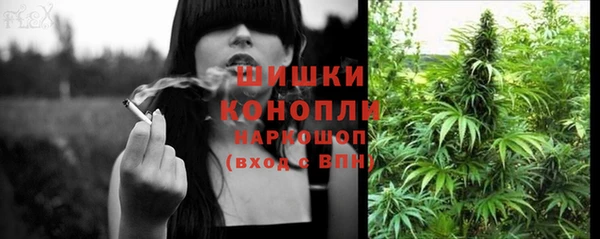 ГАЛЛЮЦИНОГЕННЫЕ ГРИБЫ Абаза