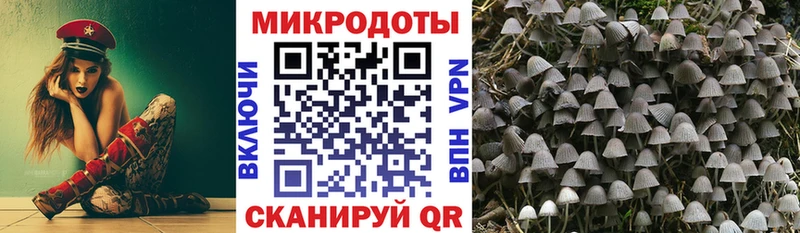 ОМГ ОМГ онион  даркнет сайт  Нюрба  Галлюциногенные грибы Psilocybe 